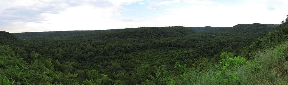 Forested Ozark hills roll to the horizon across southern Missouri.